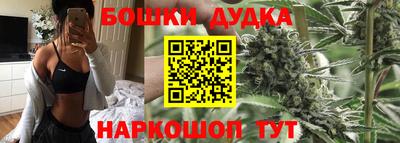 индика Татарск