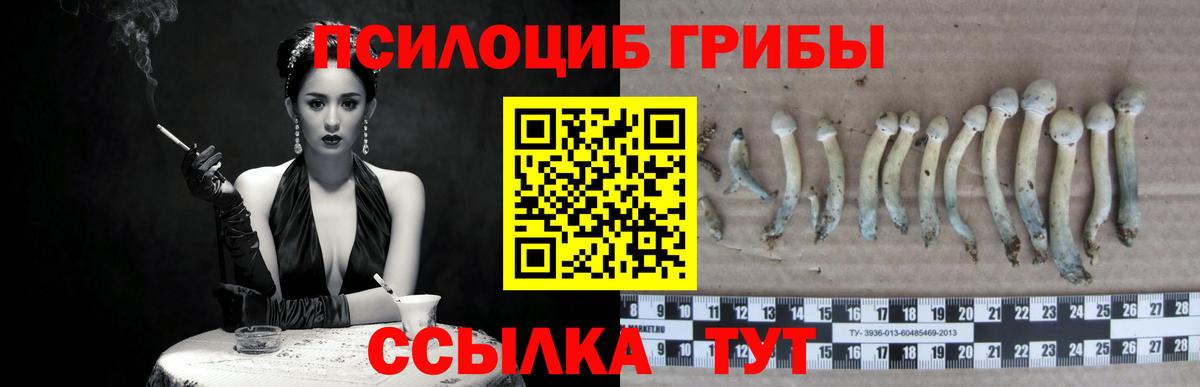 Галлюциногенные грибы Magic Shrooms Лабинск